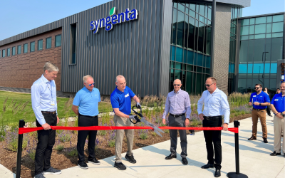 syngenta – Conference